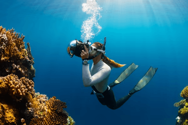 A diver photographing marine life beside a coral reef