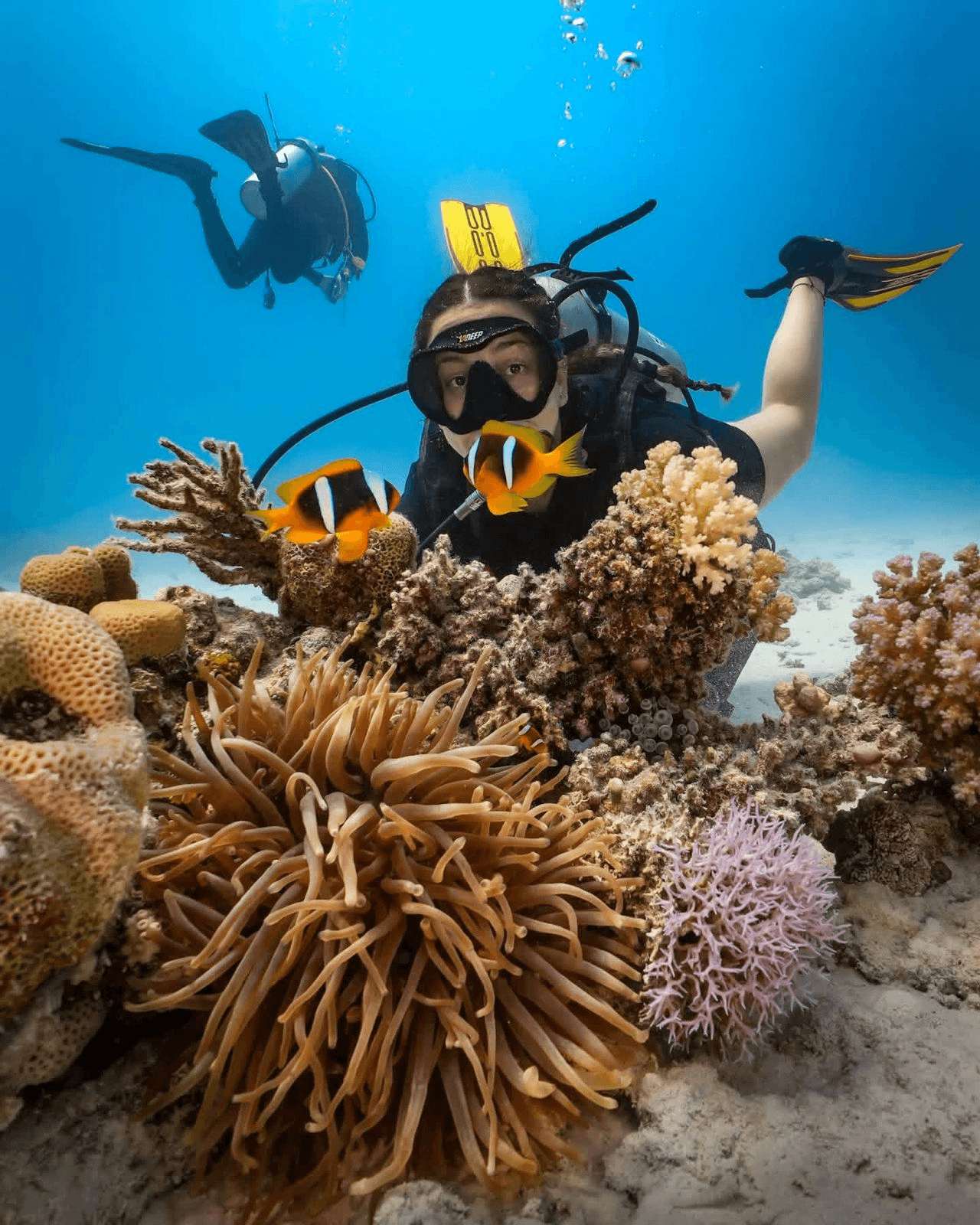A diver posing beside a fellow diver, framed by coral, anemone and clownfish