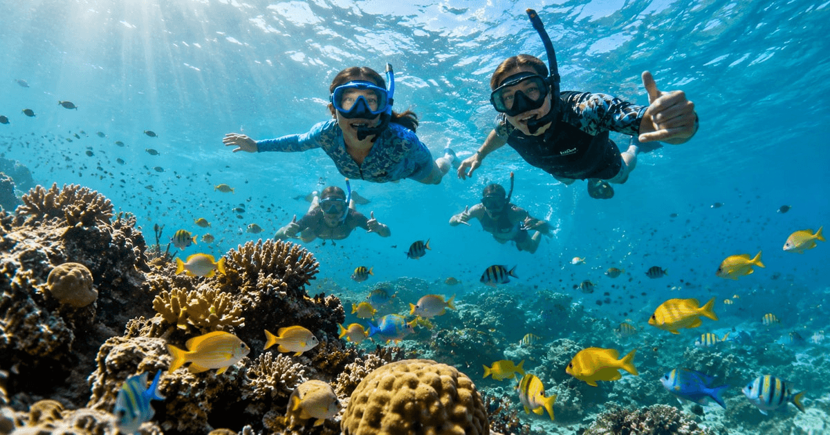 A family snorkeling together over a vibrant coral reef