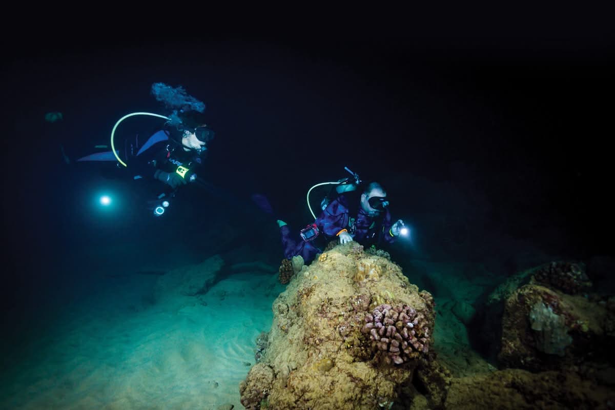 Divers with torches inspecting a coral reef at night