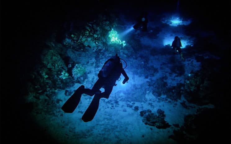 Divers exploring a reef lit only by their torches at night